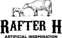 Rafter H